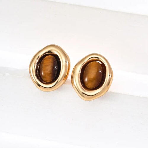 Hilldrop Tiger Eye Studs Earrings